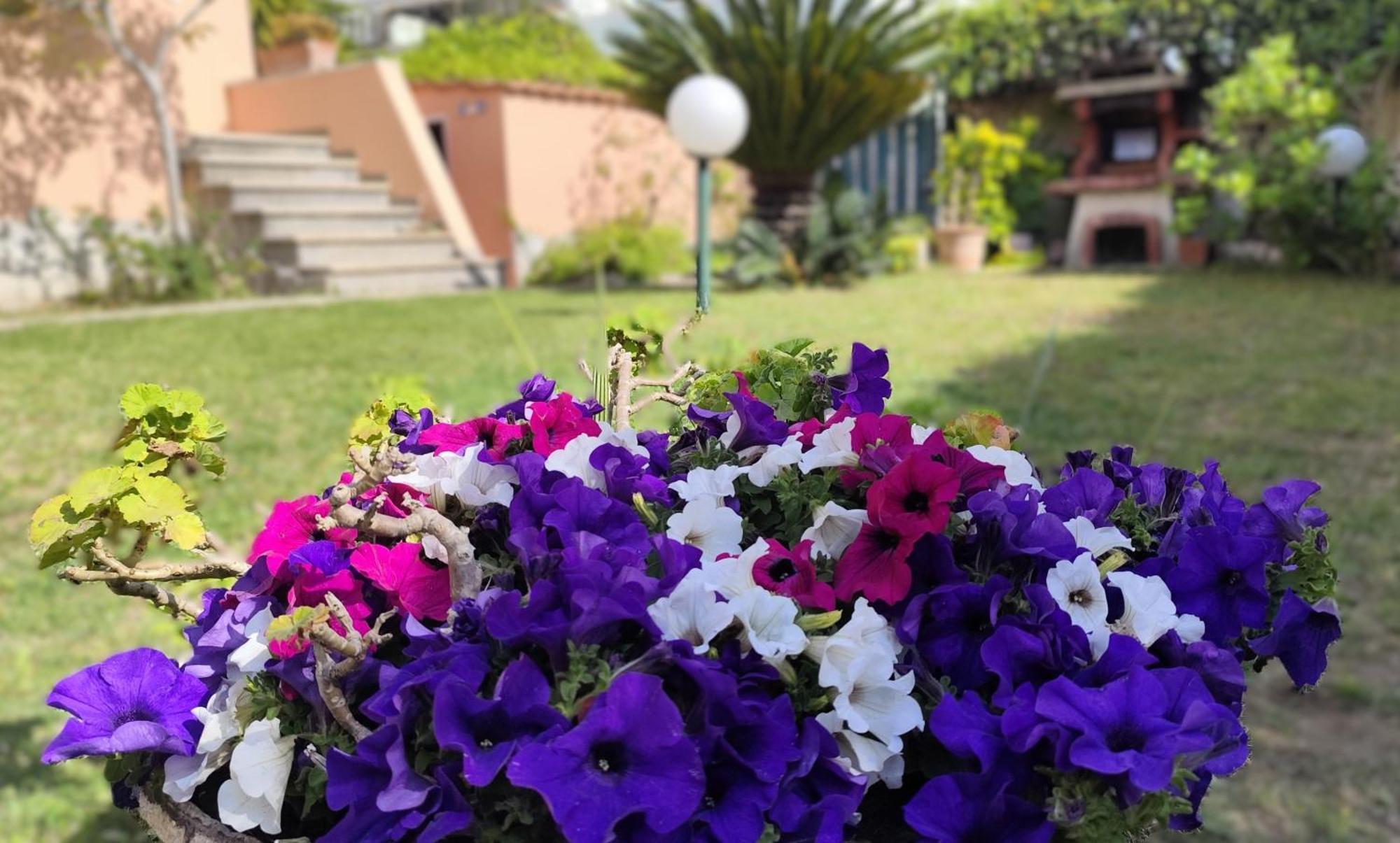 Katy's Garden Holiday home